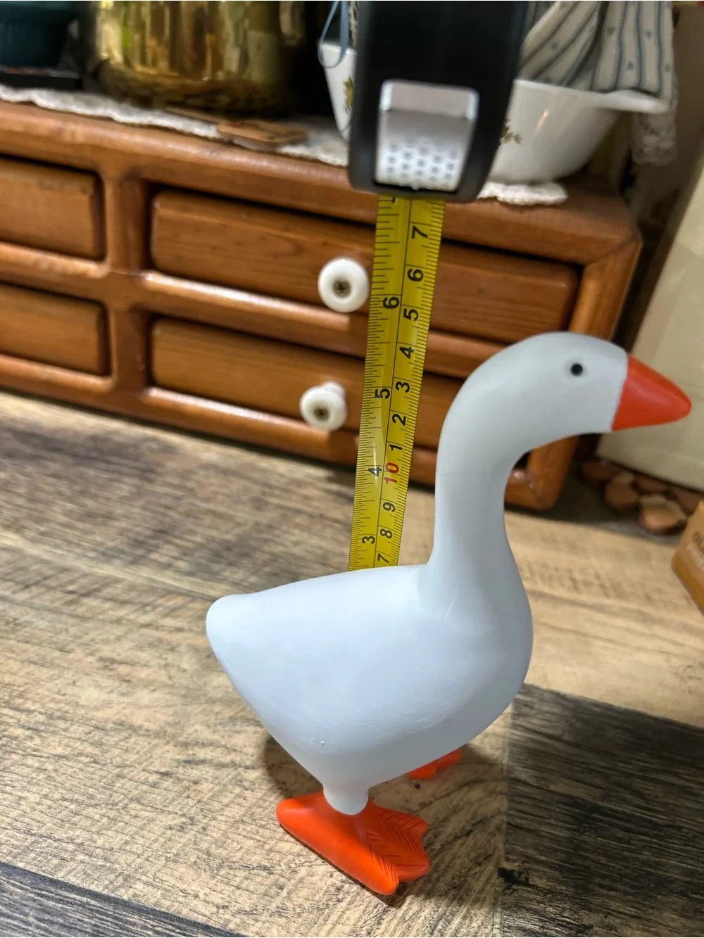 A new kitchen helper! A kitchen goose!